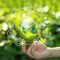 Environmentally Sustainable
