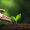 Promote Sustainable Living