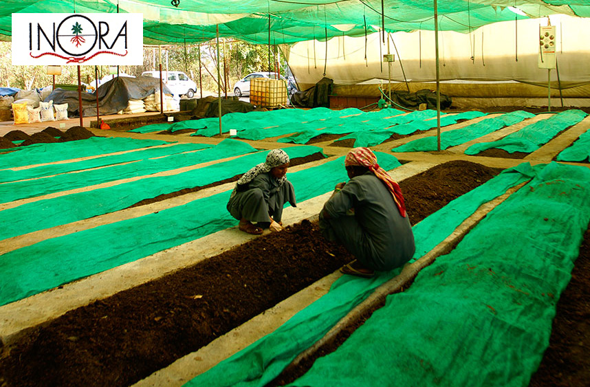 INORA-Institute-of-Natural-Organic-Agriculture