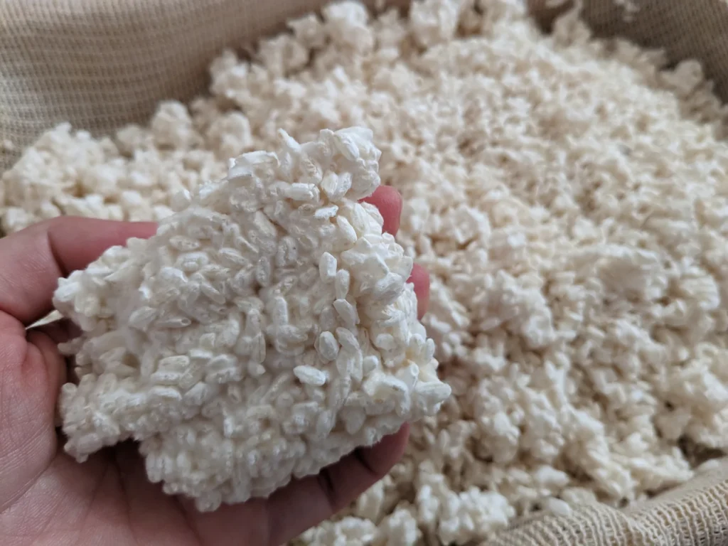 Koji 1