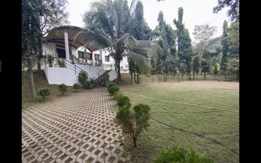 Reishi Healing Centre & Naturalcare 2