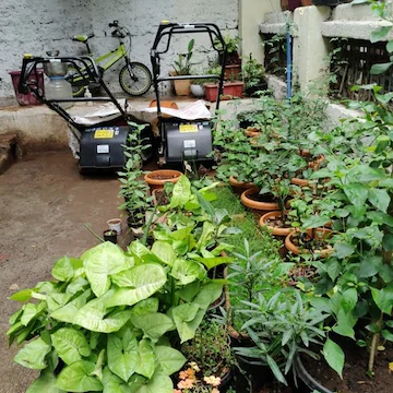damani-garden-center