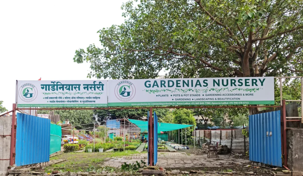 gardenias-nursery-pune