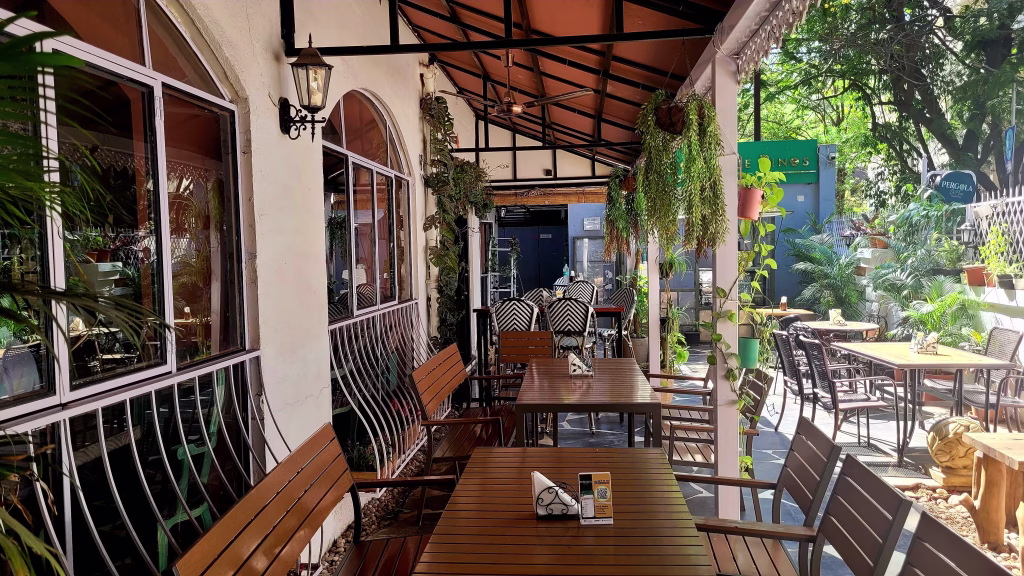 PERGOLA DE PINES , KITCHEN AND BAR