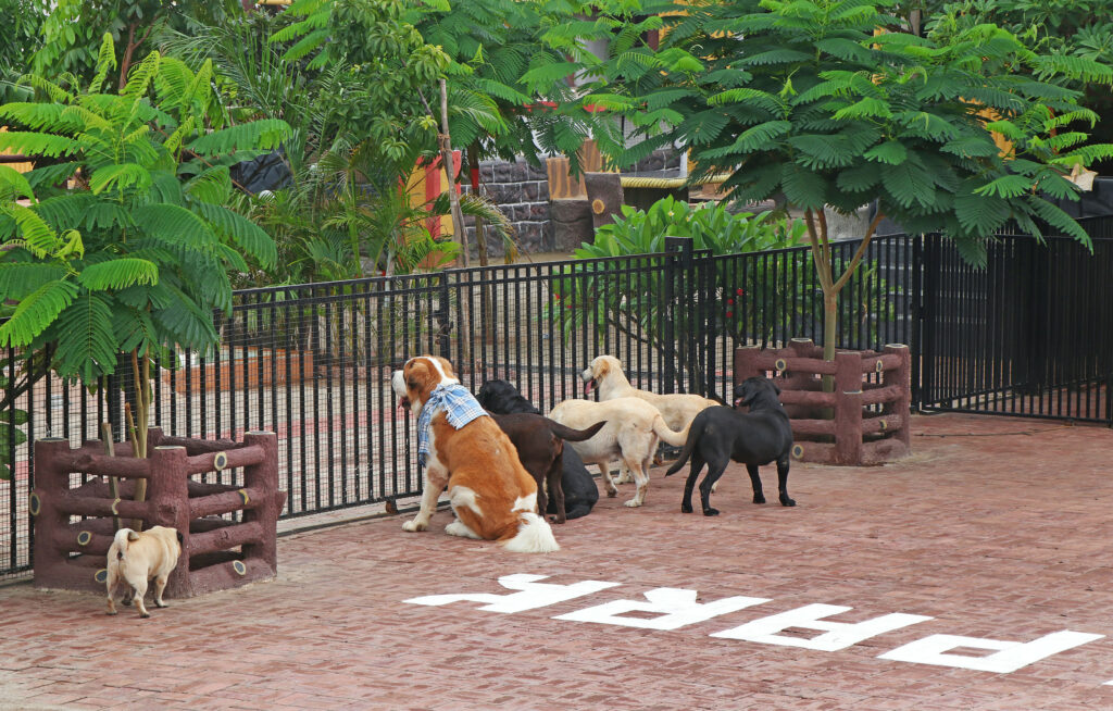 Pet Park