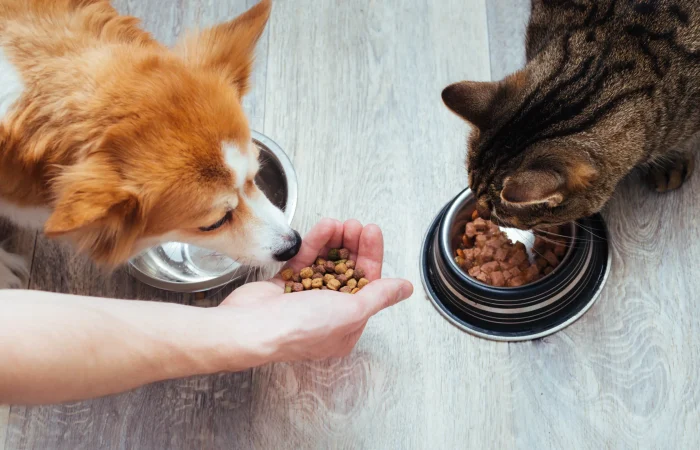 pet-food