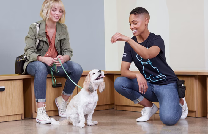 puppy-training-supporting